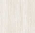 Titan Guard 6.5  Collection  SF-241D  (6.5mm • 22 mil)
