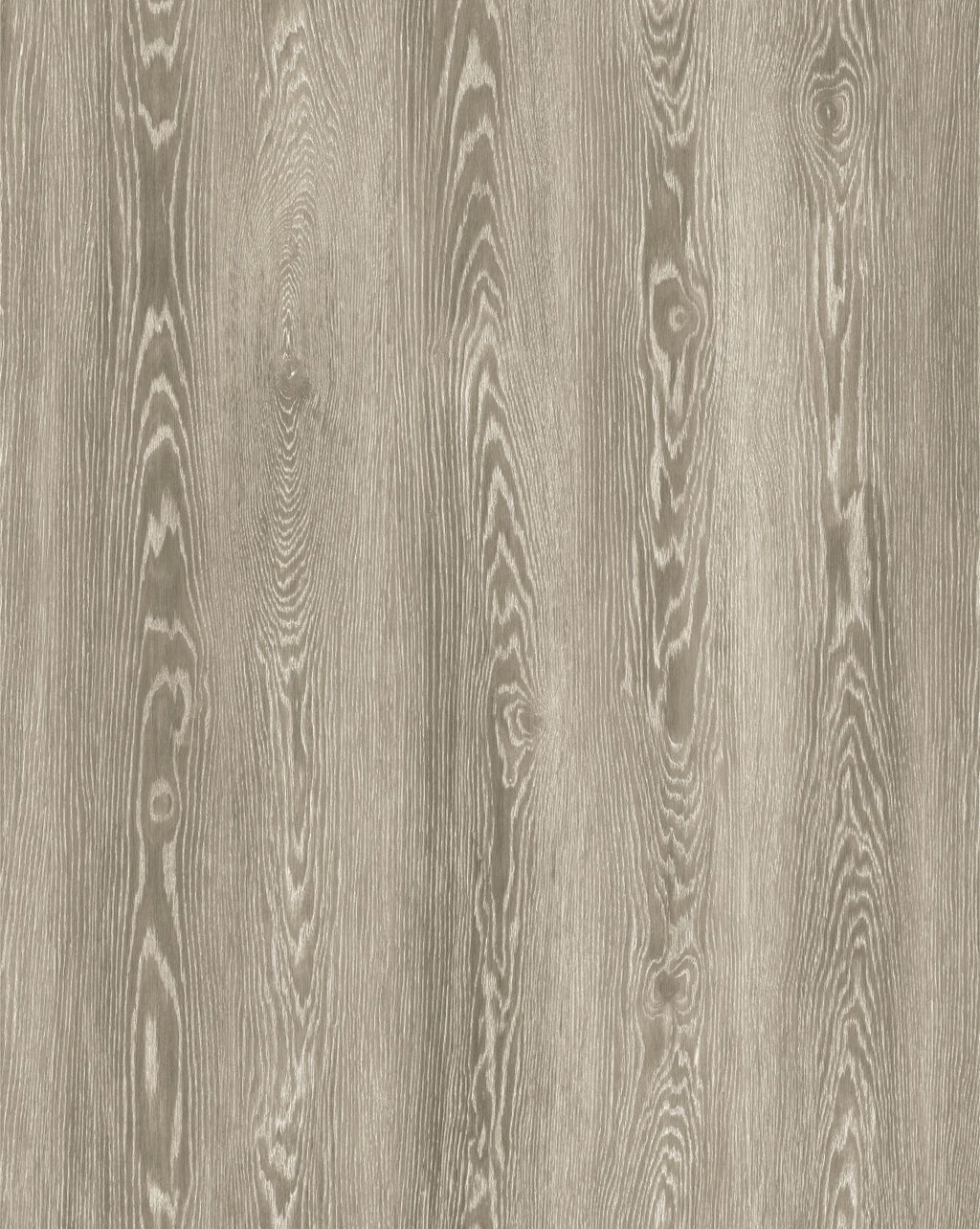 Titan Guard 6.5 Collection  SF-223D   (6.5mm • 22 mil)