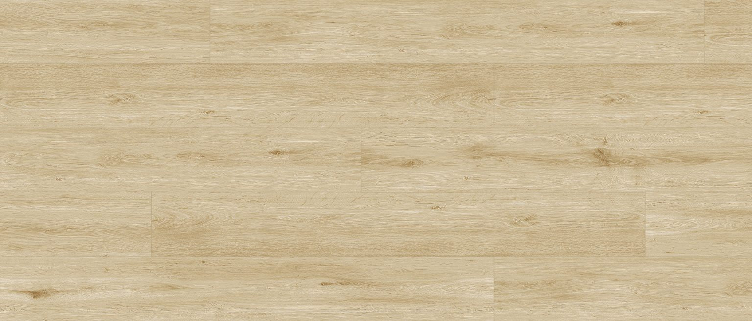 Titan Guard 6.5 collection  SF-216  (6.5mm • 22 mil