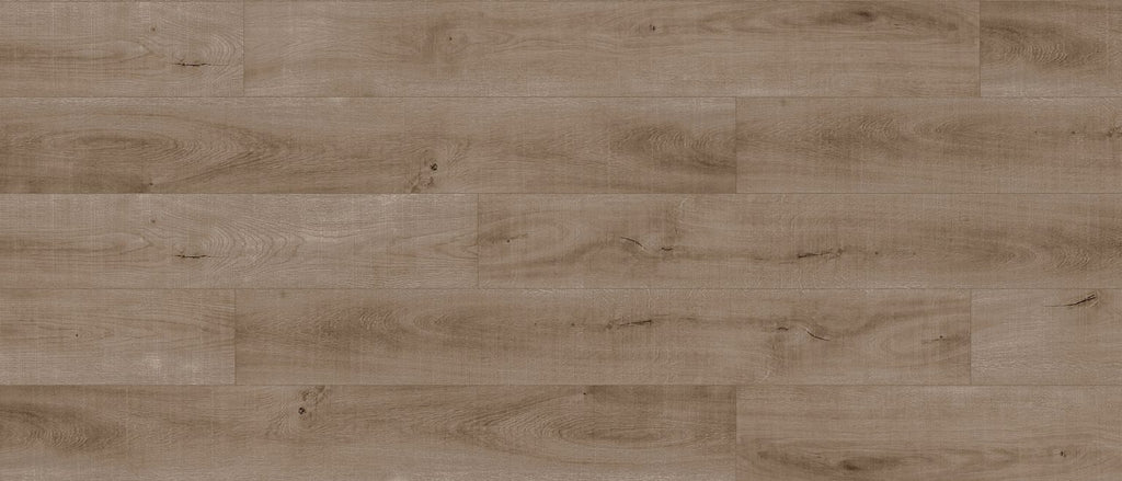 Titan Guard 6.5 Collection  SF-215D  (6.5mm • 22 mil)